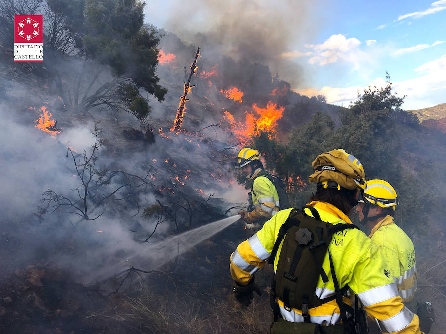 Fotos: Incendio forestal en el Collado de Arenoso de Montán (Castellón)