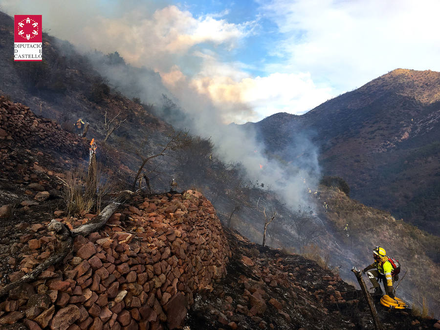 Fotos: Incendio forestal en el Collado de Arenoso de Montán (Castellón)