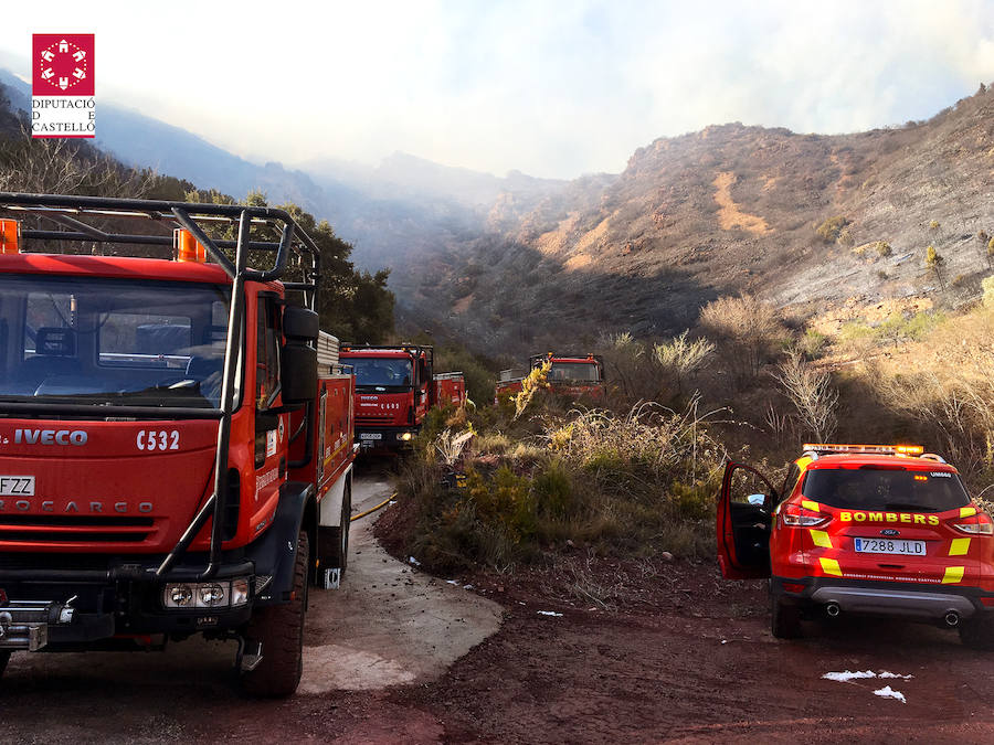 Fotos: Incendio forestal en el Collado de Arenoso de Montán (Castellón)