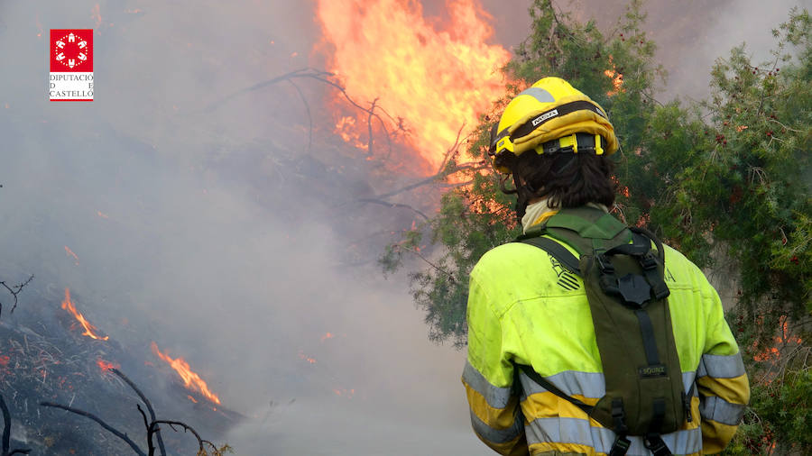 Fotos: Incendio forestal en el Collado de Arenoso de Montán (Castellón)