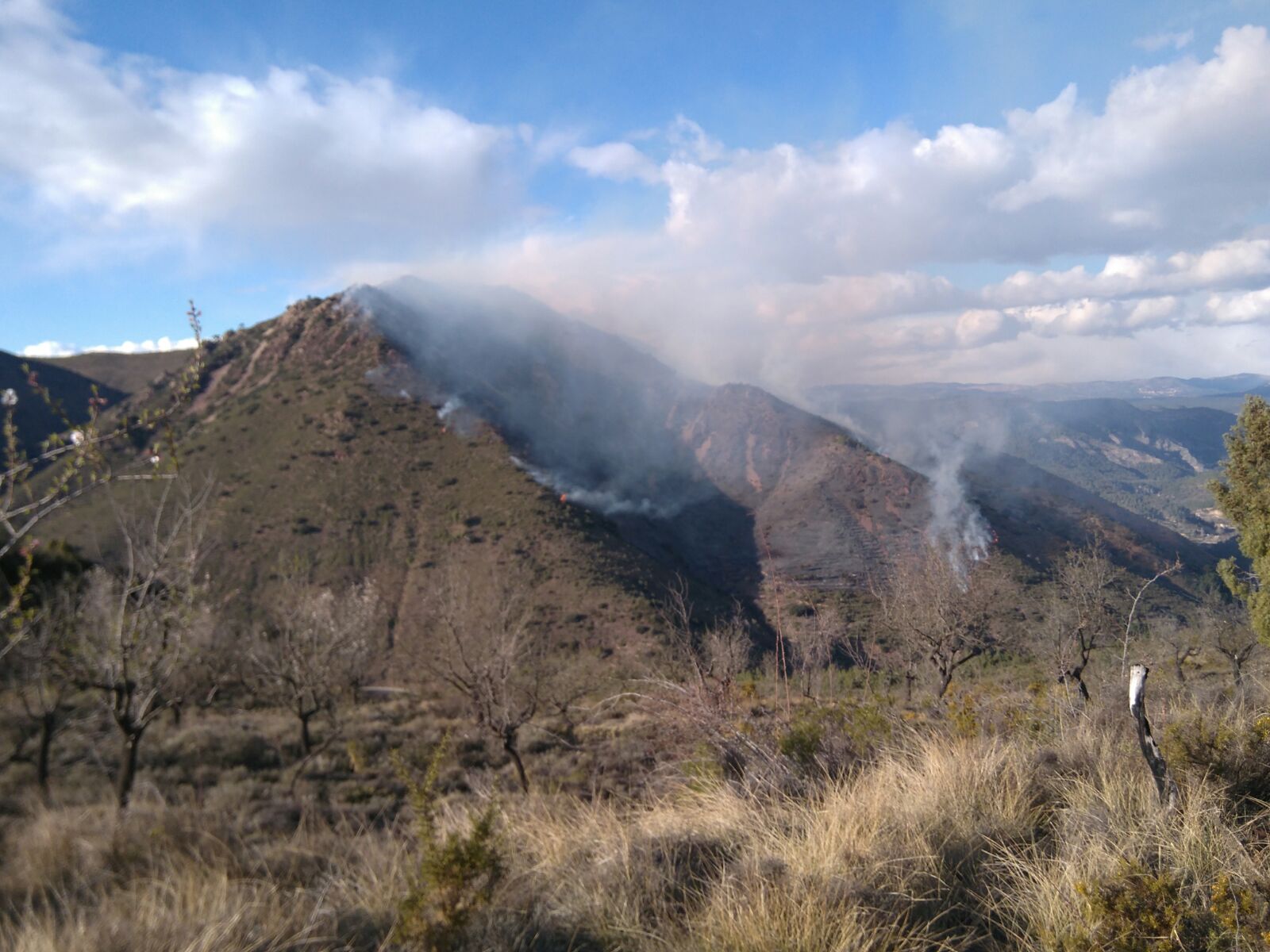 Fotos: Incendio forestal en el Collado de Arenoso de Montán (Castellón)