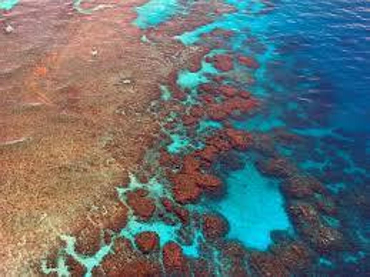 Gran Barrera de Coral, Australia