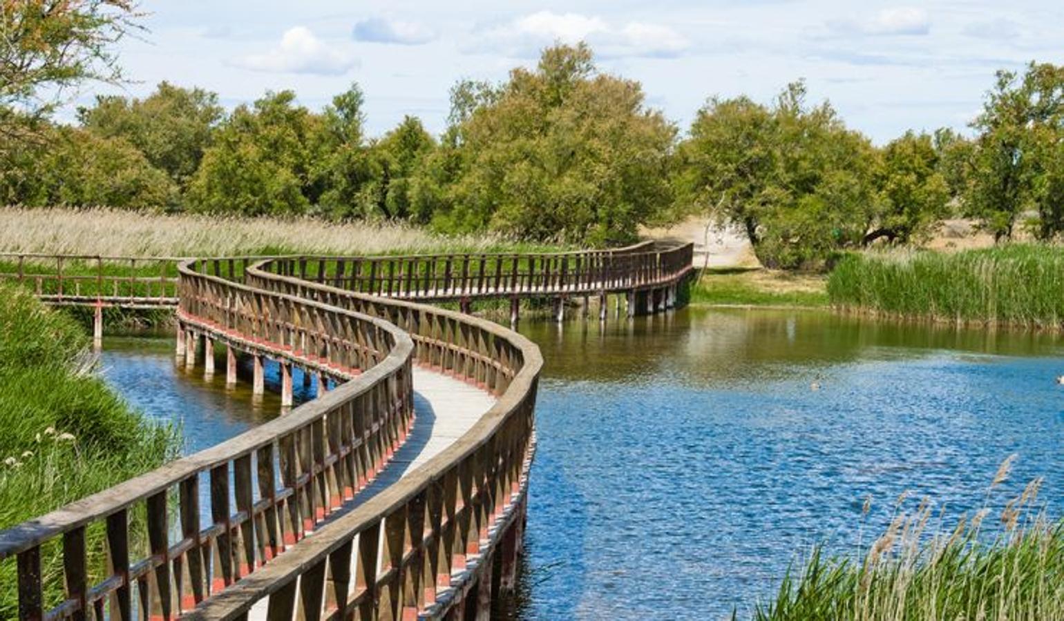 Tablas de Daimiel (Ciudad Real) | Un humedal de gran belleza e importancia para la flora y la fauna de la zona. Las aves invernan y nidifican en él y en primavera el verde de su vegetación se vuelve el complemento perfecto a su paisaje acuático. 