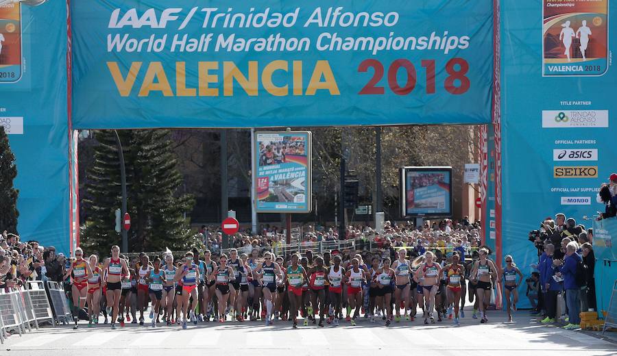 Fotos: Todas las fotos de la carrera Media maratón valencia 2018