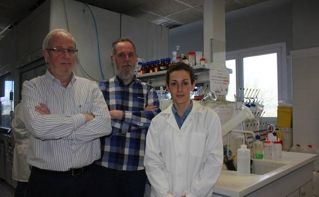 Investigadores valencianos desarrollan un sistema para provocar la muerte de las células cancerígenas