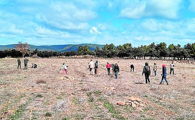Voluntarios durante la jornada del pasado sábado.