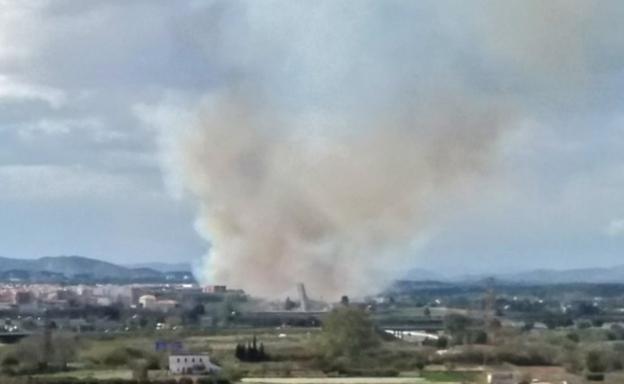 Columna de humo causada por el incendio en el cañar del parque del Turia, en el término de Manises.