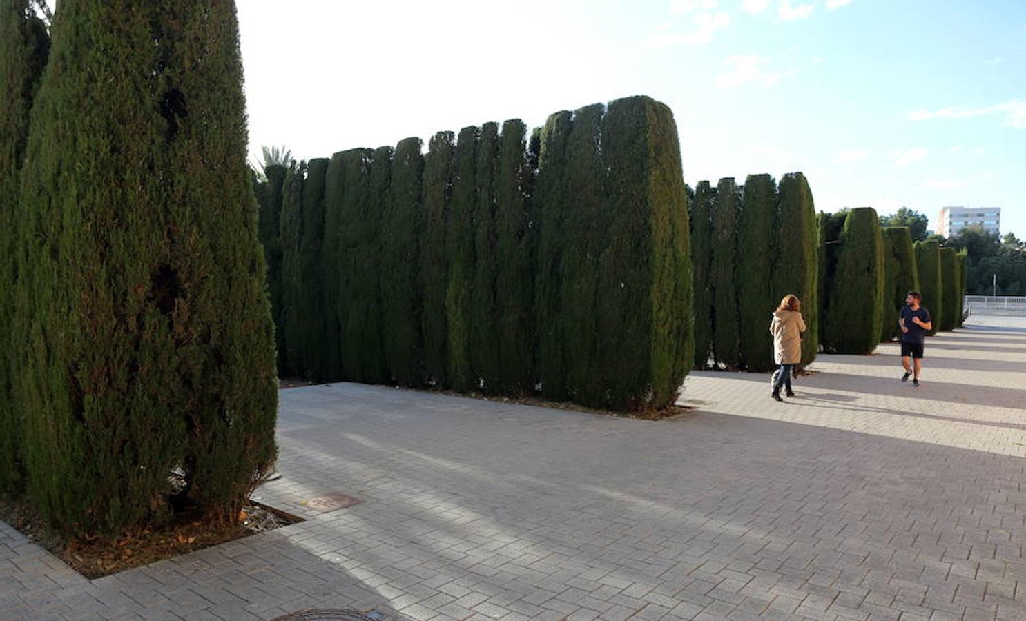 La leyenda de Hércules hace las veces de hilo argumental entre los caminos del jardín, en los que van apareciendo escenas y personajes del relato mitológico en forma de plantas y esculturas, todo enmarcado por la intermitente aparición de los muros de cripreses. “A través de las olas del mar profundo llegaron a la hermosa isla de los dioses, allí donde las Hespérides tienen su casa de oro“, reza la puerta de acceso tras la que se presentan episodios icónicos de la leyenda: el árbol de los frutos de oro, la metamorfosis de las ninfas y el dragón, y hasta el propio Hércules, de la mano de las especies vegetales y el trabajo escultural del húngaro Miklos Pàlfy.