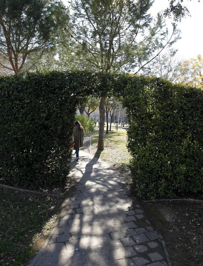 Una vez atravesadas sus puertas por la entrada principal, pasando la plaza de las Puertas del Destino, el visitante encuentra un montículo con una encina en su cumbre (el primer árbol plantado en este jardín), que en la narración se trata del árbol bajo el cual Polifilo se quedó dormido.