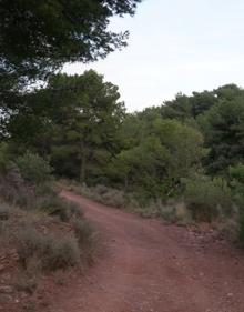 Imagen secundaria 2 - La Ruta de las Cadenas: la opción &#039;dominguera&#039; de la Sierra Calderona