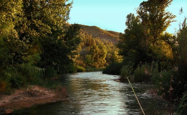 Rutas de senderismo en Valencia para descubrir la naturaleza en Casas del  Río | Las Provincias