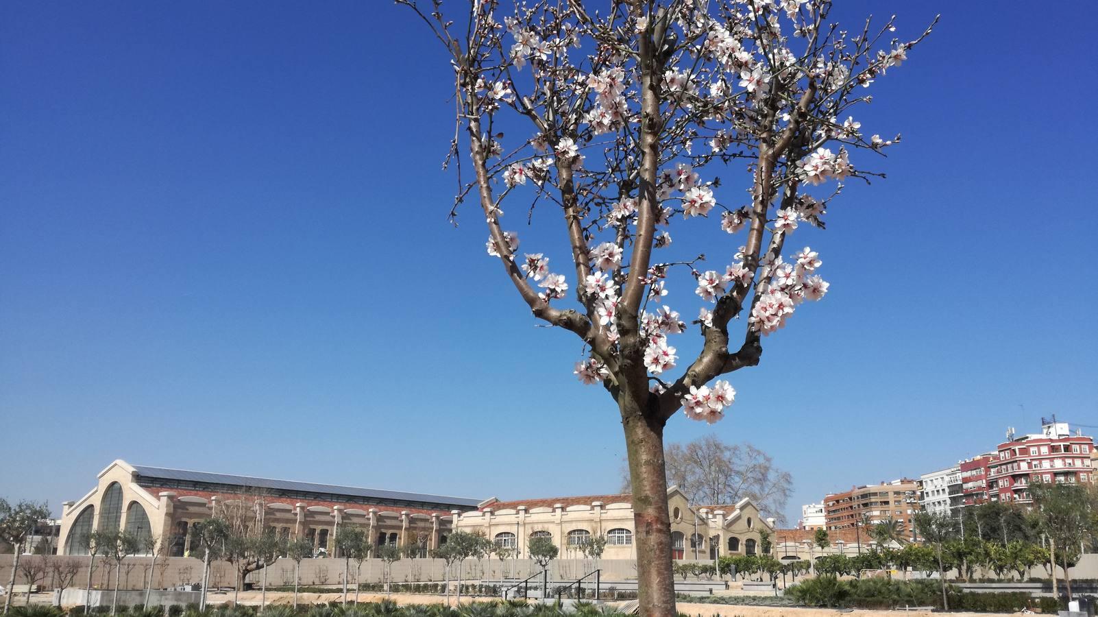 Las obras del jardín suman ya 800 árboles y buena parte de las 100.000 plantas