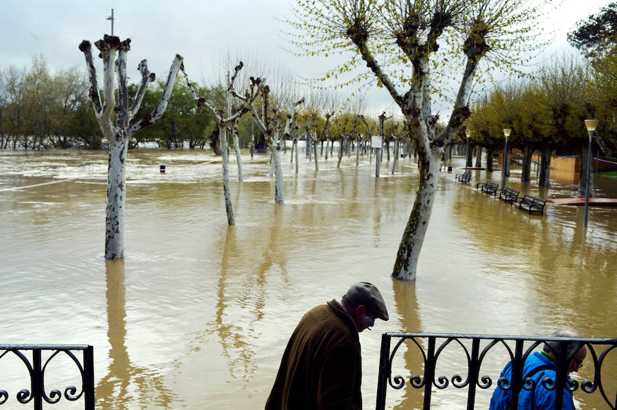 El Ebro ha provocado grandes problemas en municipios de la ribera de Navarra y Aragón. El río se ha desbordado en varios puntos anegados zonas declaradas de 'acción urgente'. Los niveles registrado han sido muy similares a los de 2015 e incluso en la capital aragonesa se han llevado a cabo cortes de tráfico dados los primeros desbordamientos del Ebro. La ministra de Agricultura, Isabel García Tejerina, ha visitado las zonas más afectadas sobre las que se rebaja la angustia en los próximos días pero que puede volver ante la previsión de lluvias de cara al fin de semana siguiente.