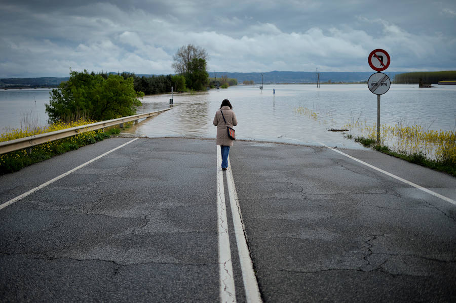 El Ebro ha provocado grandes problemas en municipios de la ribera de Navarra y Aragón. El río se ha desbordado en varios puntos anegados zonas declaradas de 'acción urgente'. Los niveles registrado han sido muy similares a los de 2015 e incluso en la capital aragonesa se han llevado a cabo cortes de tráfico dados los primeros desbordamientos del Ebro. La ministra de Agricultura, Isabel García Tejerina, ha visitado las zonas más afectadas sobre las que se rebaja la angustia en los próximos días pero que puede volver ante la previsión de lluvias de cara al fin de semana siguiente.