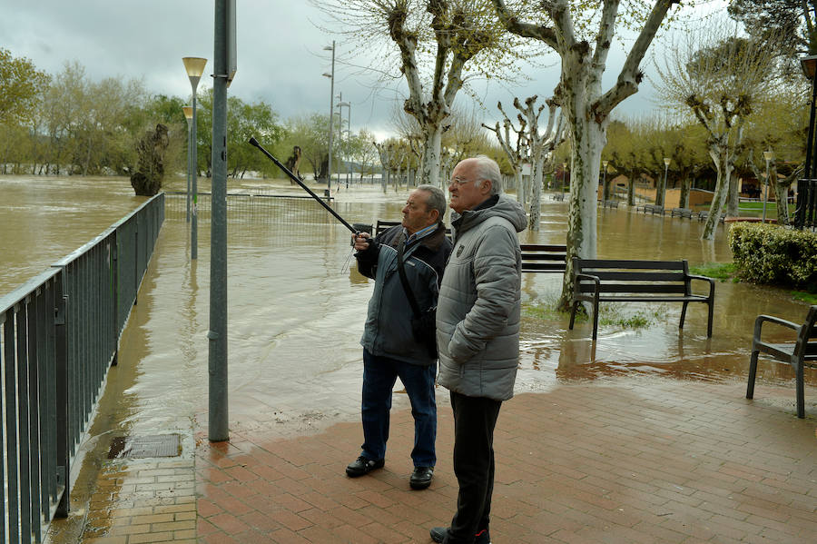 El Ebro ha provocado grandes problemas en municipios de la ribera de Navarra y Aragón. El río se ha desbordado en varios puntos anegados zonas declaradas de 'acción urgente'. Los niveles registrado han sido muy similares a los de 2015 e incluso en la capital aragonesa se han llevado a cabo cortes de tráfico dados los primeros desbordamientos del Ebro. La ministra de Agricultura, Isabel García Tejerina, ha visitado las zonas más afectadas sobre las que se rebaja la angustia en los próximos días pero que puede volver ante la previsión de lluvias de cara al fin de semana siguiente.