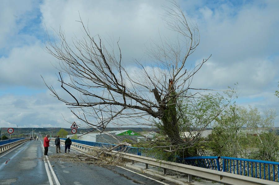 El Ebro ha provocado grandes problemas en municipios de la ribera de Navarra y Aragón. El río se ha desbordado en varios puntos anegados zonas declaradas de 'acción urgente'. Los niveles registrado han sido muy similares a los de 2015 e incluso en la capital aragonesa se han llevado a cabo cortes de tráfico dados los primeros desbordamientos del Ebro. La ministra de Agricultura, Isabel García Tejerina, ha visitado las zonas más afectadas sobre las que se rebaja la angustia en los próximos días pero que puede volver ante la previsión de lluvias de cara al fin de semana siguiente.