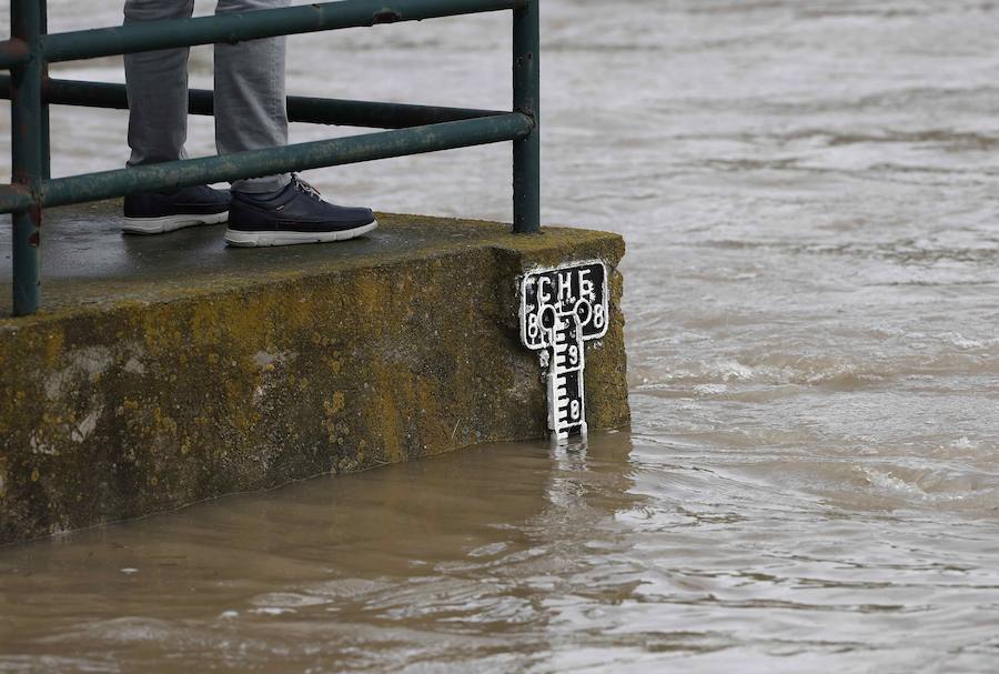 El Ebro ha provocado grandes problemas en municipios de la ribera de Navarra y Aragón. El río se ha desbordado en varios puntos anegados zonas declaradas de 'acción urgente'. Los niveles registrado han sido muy similares a los de 2015 e incluso en la capital aragonesa se han llevado a cabo cortes de tráfico dados los primeros desbordamientos del Ebro. La ministra de Agricultura, Isabel García Tejerina, ha visitado las zonas más afectadas sobre las que se rebaja la angustia en los próximos días pero que puede volver ante la previsión de lluvias de cara al fin de semana siguiente.