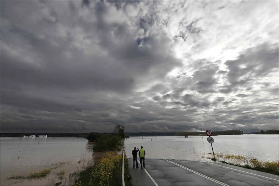 El Ebro ha provocado grandes problemas en municipios de la ribera de Navarra y Aragón. El río se ha desbordado en varios puntos anegados zonas declaradas de 'acción urgente'. Los niveles registrado han sido muy similares a los de 2015 e incluso en la capital aragonesa se han llevado a cabo cortes de tráfico dados los primeros desbordamientos del Ebro. La ministra de Agricultura, Isabel García Tejerina, ha visitado las zonas más afectadas sobre las que se rebaja la angustia en los próximos días pero que puede volver ante la previsión de lluvias de cara al fin de semana siguiente.