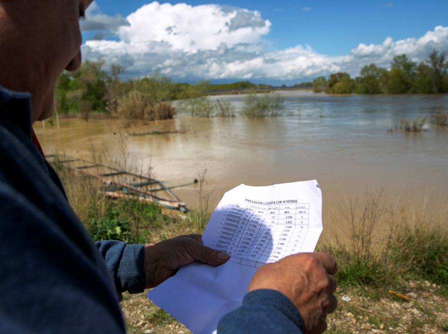 El Ebro ha provocado grandes problemas en municipios de la ribera de Navarra y Aragón. El río se ha desbordado en varios puntos anegados zonas declaradas de 'acción urgente'. Los niveles registrado han sido muy similares a los de 2015 e incluso en la capital aragonesa se han llevado a cabo cortes de tráfico dados los primeros desbordamientos del Ebro. La ministra de Agricultura, Isabel García Tejerina, ha visitado las zonas más afectadas sobre las que se rebaja la angustia en los próximos días pero que puede volver ante la previsión de lluvias de cara al fin de semana siguiente.