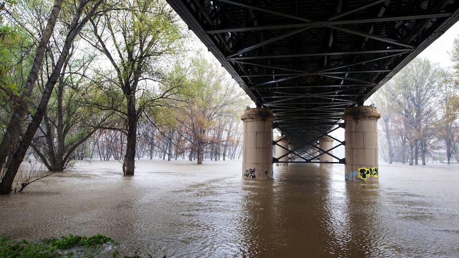 El Ebro ha provocado grandes problemas en municipios de la ribera de Navarra y Aragón. El río se ha desbordado en varios puntos anegados zonas declaradas de 'acción urgente'. Los niveles registrado han sido muy similares a los de 2015 e incluso en la capital aragonesa se han llevado a cabo cortes de tráfico dados los primeros desbordamientos del Ebro. La ministra de Agricultura, Isabel García Tejerina, ha visitado las zonas más afectadas sobre las que se rebaja la angustia en los próximos días pero que puede volver ante la previsión de lluvias de cara al fin de semana siguiente.