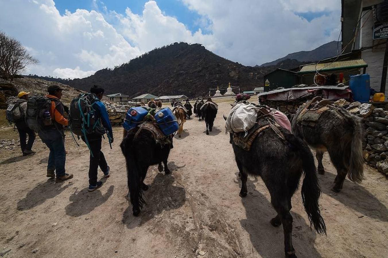 Comienza la temporada de escalada en el Himalaya. La ruta de subida a la cumbre acoge una gran cantidad de turistas que intenta ascender algún tramo del pico más alto del planeta. La imagen que más se repite estos días son grupos de excursionistas pasando por la aldea de Phortse a Pheriche en dirección al Everest.