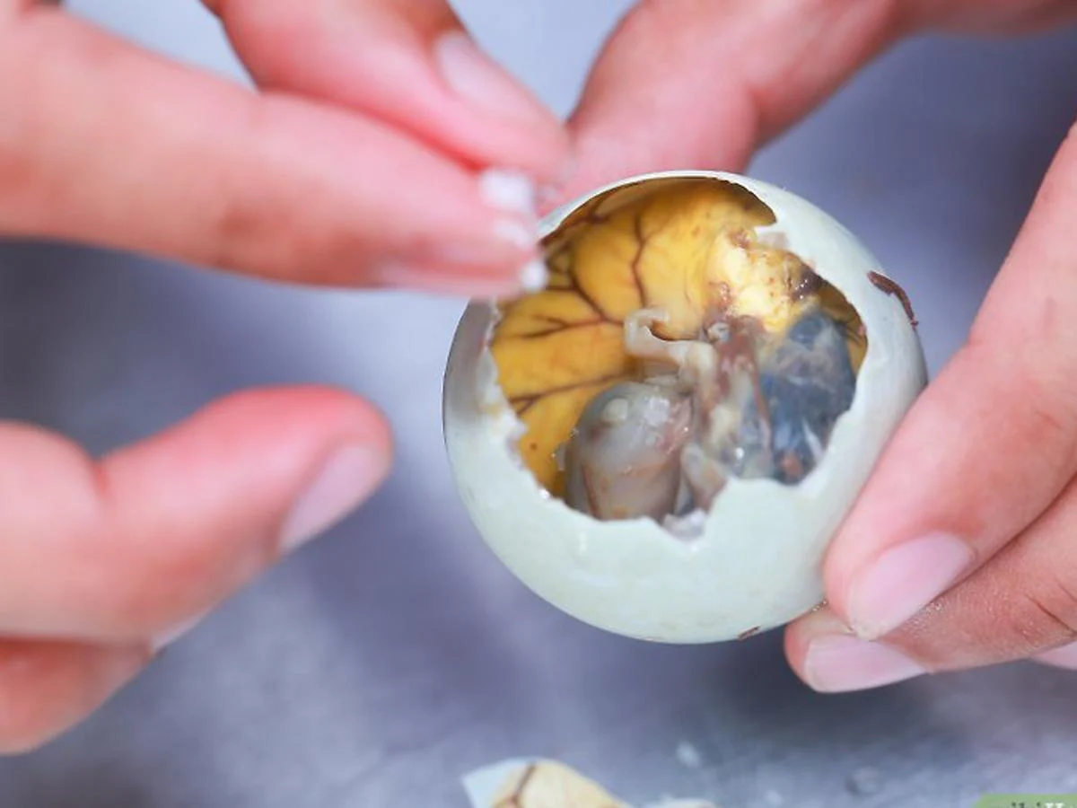 Esta exquisitez no muy atractiva, es conocida en Filipinas como "balut" y también como "huevo con patas", se trata de un peculiar plato filipino que, en su interior, lleva el feto de un pájaro de 18 días, con sus plumas, pico y huesos. 