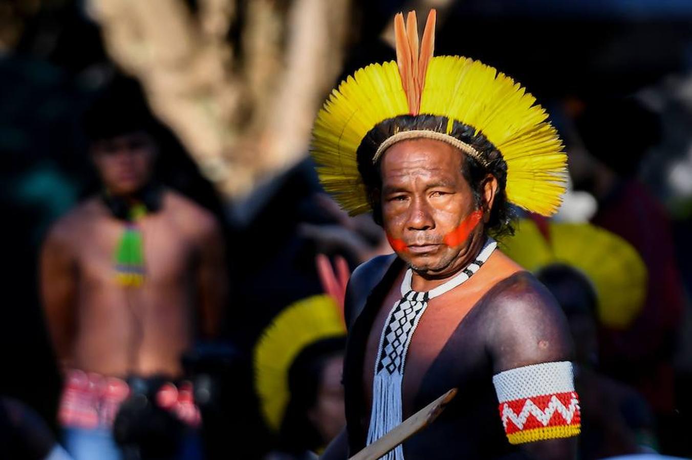 Cientos de indígenas de diferentes etnias montaban este lunes en Brasilia el Campamento Tierra Libre cerca del palacio de gobierno de Brasil, en la apertura de una semana de movilización para reclamar sus tierras ancestrales. Los indígenas acusan al gobierno conservador del presidente Michel Temer de negarse a demarcar los territorios para devolverlos a sus dueños originales y de favorecer a los ruralistas (empresarios agrarios).