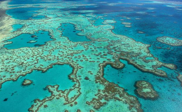 Vista aérea del Parque Marino de la Gran Barrera de Coral, en Australia.