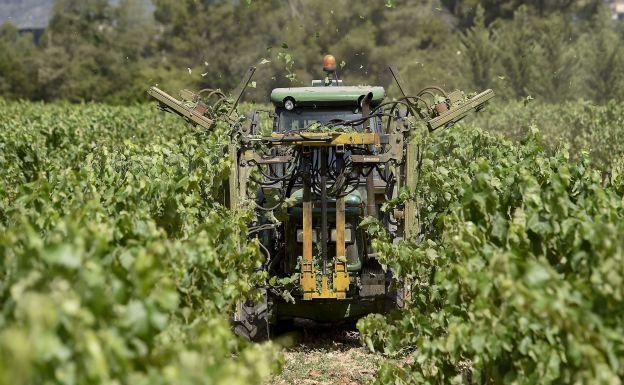 El cava catalán fue más castigado en ventas en Cataluña que en el resto de España