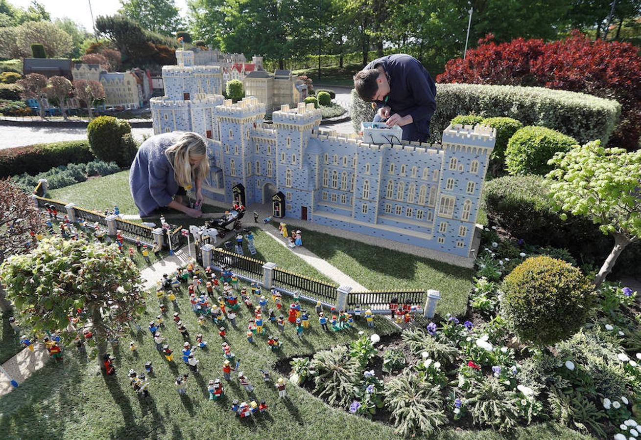 El Príncipe Harry y su prometida Meghan Markle ya tienen su figura de Lego. La pareja contraerá matrimonio el próximo 19 de mayo y para la ocasión el parque temático Legoland de Gran Bretaña ha recreado el enlace con un total de 60 mil piezas. Los prometidos no solo tienen su muñeco sino también su propio Castillo de Windsor. En esta reproducción también aparecen desde la Familia Real al completo, pasando por los invitados y como no, los fotógrafos y las cámaras que inmortalizarán el enlace.
