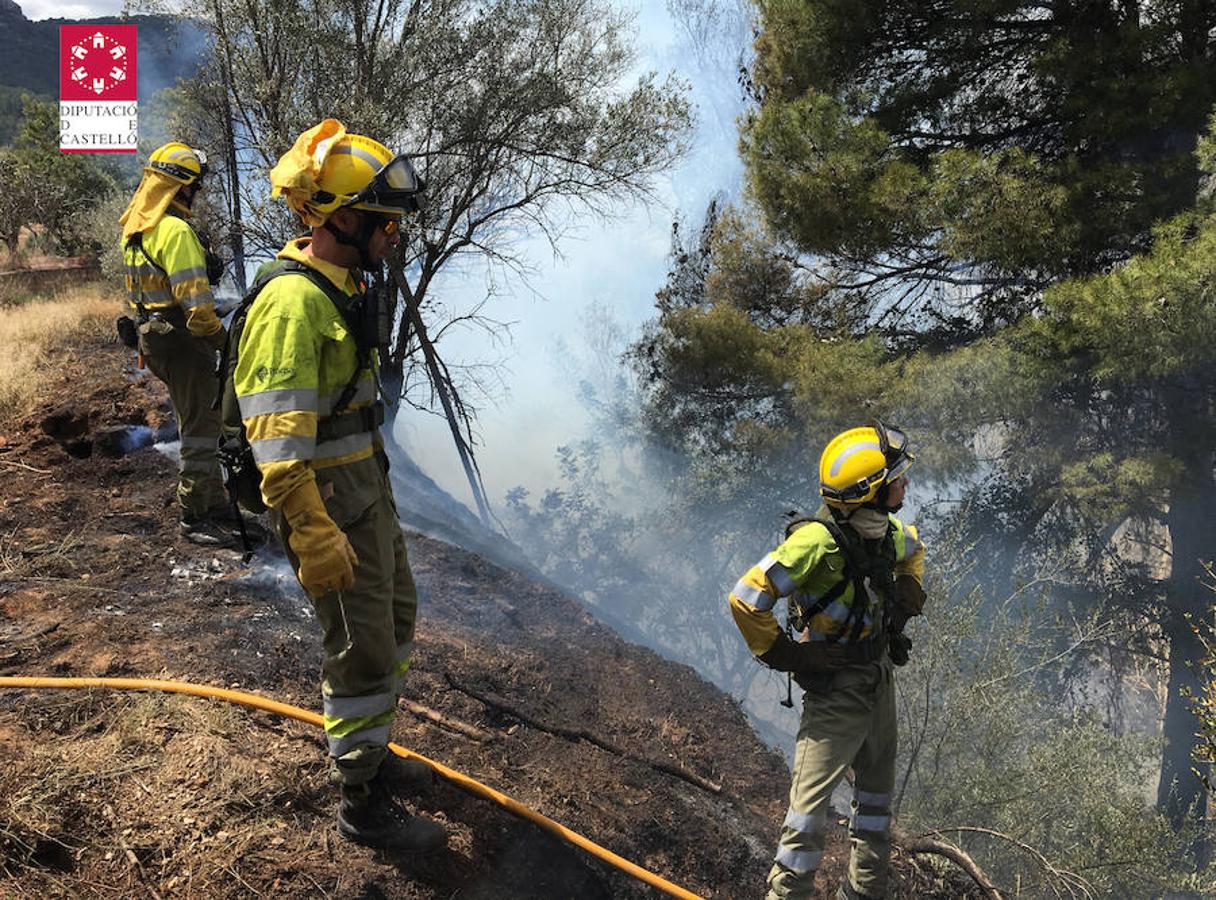 Fotos: Incendio en Fanzara, Castellón (14/05/2018)