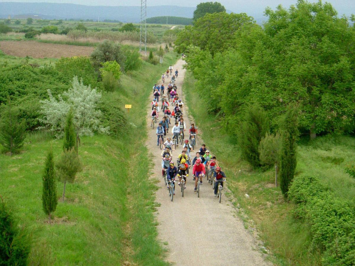 La Comunitat Valenciana, Andalucía, País Vasco, Cantabria... España tiene un red de Vías Verdes (rutas sobre el antiguo trazado del ferrocarril) de 2.700 kilómetros. Sólo en Valencia, Alicante y Castellón hay 11 de estos trazados y 162 kilómetros de naturaleza para disfrutar.