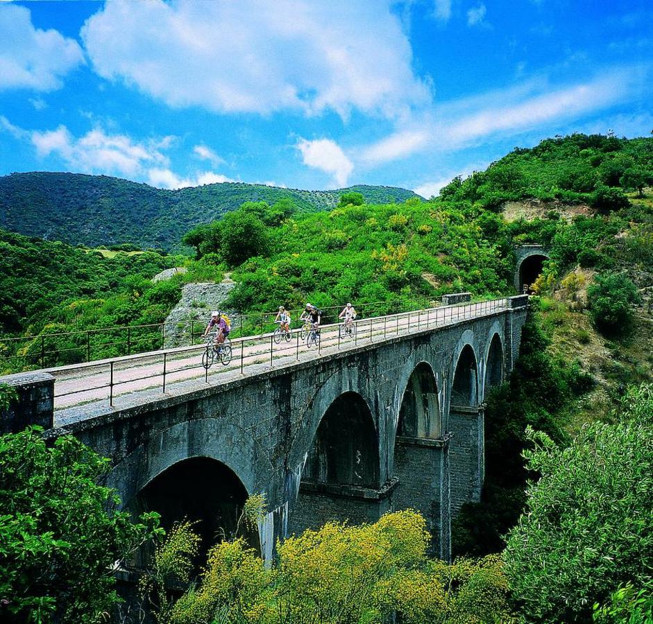 La Comunitat Valenciana, Andalucía, País Vasco, Cantabria... España tiene un red de Vías Verdes (rutas sobre el antiguo trazado del ferrocarril) de 2.700 kilómetros. Sólo en Valencia, Alicante y Castellón hay 11 de estos trazados y 162 kilómetros de naturaleza para disfrutar.