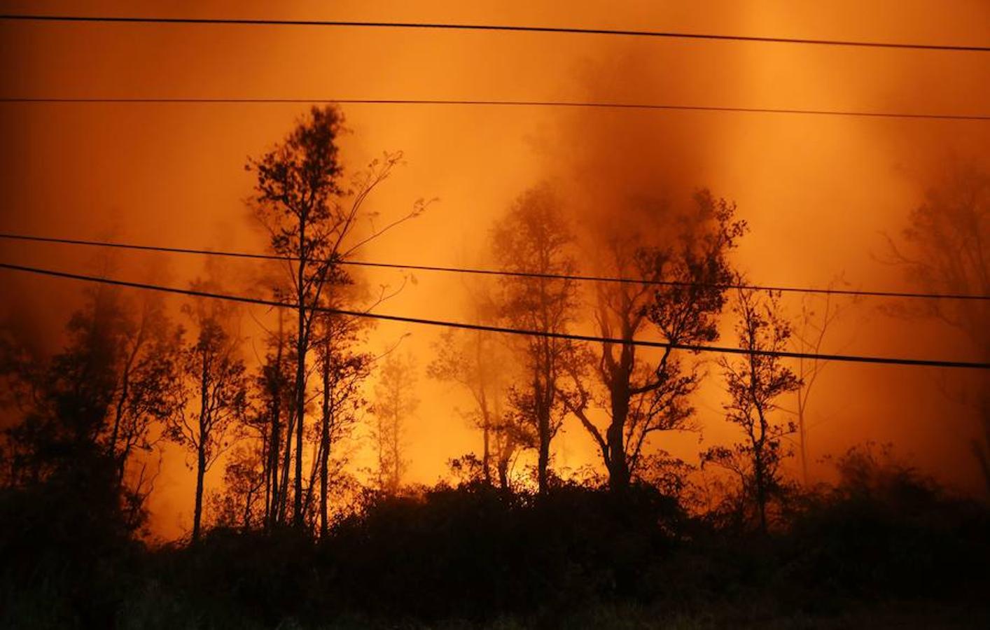 Tras varios días de temblores, el pasado 2 de mayo entró en erupción el volcán de Hawái. Más de 1.700 personas han tenido que ser evacuadas desde entonces y más de 37 estructuras, docenas de casas y coches han resultado destruidos. Trece días después, la erupción se mantiene activa. 