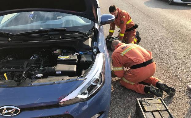 Dos bomberos tratan de rescatar al gato. 