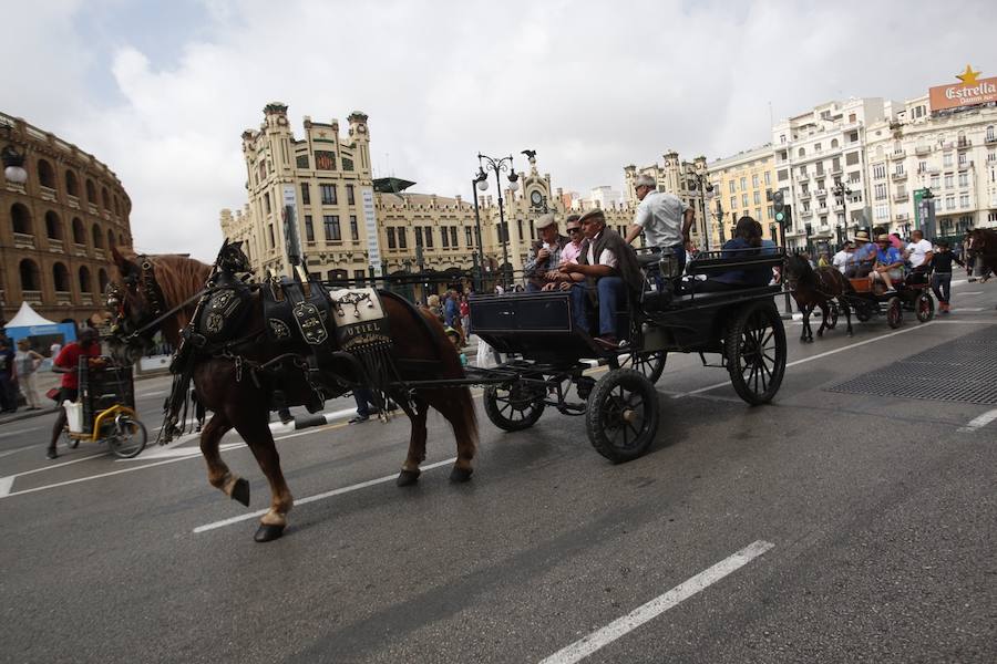 Fotos: Marea rural en Valencia