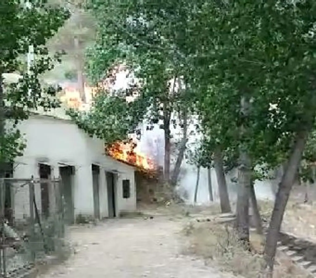 Fotos: Un incendio obliga a desalojar a 60 personas de una zona de pic-nic de Genovés