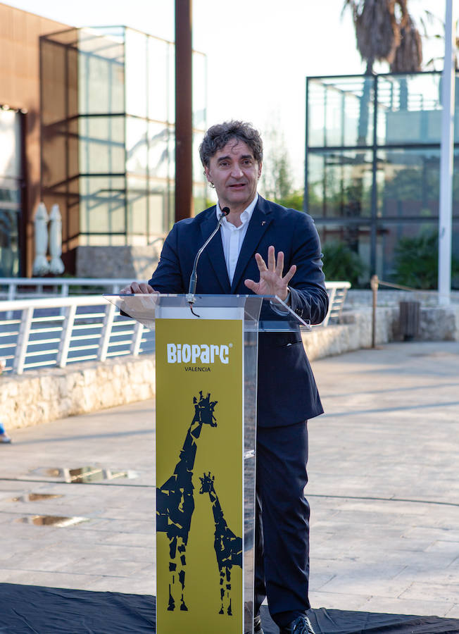 El alcalde de Valencia, Joan Ribó, el secretario autonómico de Turismo, Francesc Colomer, el escritor Santiago Posteguillo y el presidente de Rain Forest, José Maldonado, inauguran la impresionante escultura de un elefante africano, hito de la celebración del 10º aniversario del parque.