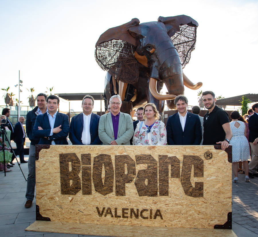 El alcalde de Valencia, Joan Ribó, el secretario autonómico de Turismo, Francesc Colomer, el escritor Santiago Posteguillo y el presidente de Rain Forest, José Maldonado, inauguran la impresionante escultura de un elefante africano, hito de la celebración del 10º aniversario del parque.