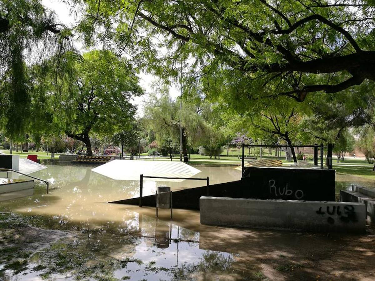 Zonas del cauce del río Turia, inundadas por el agua de la lluvia.