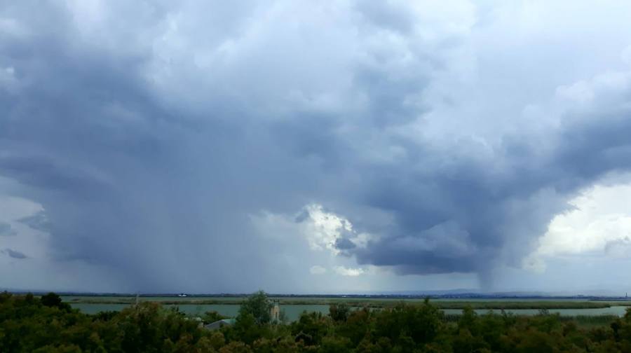 Albufera de Valencia