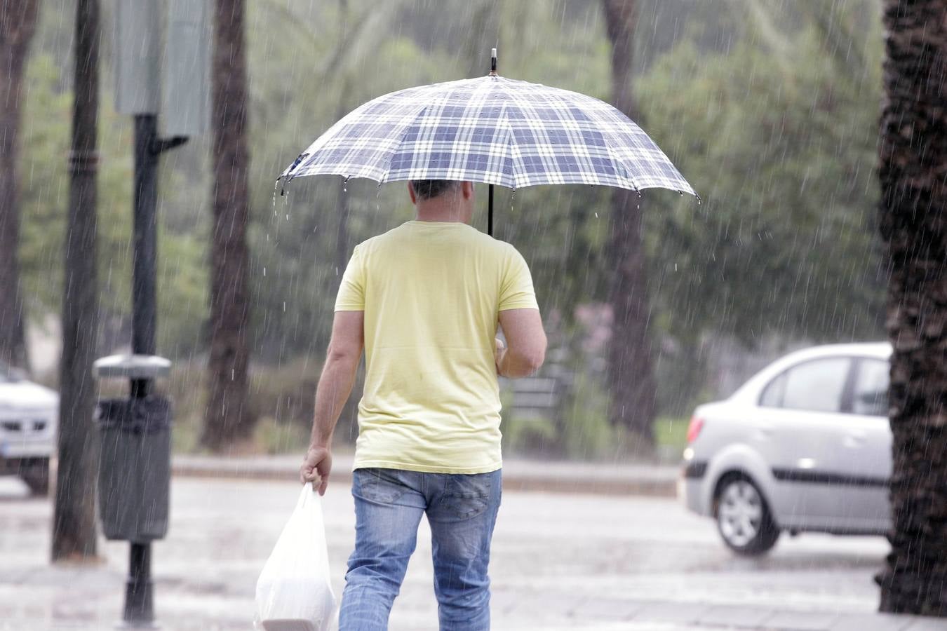 La tormenta de lluvia, en la ciudad de Valencia.