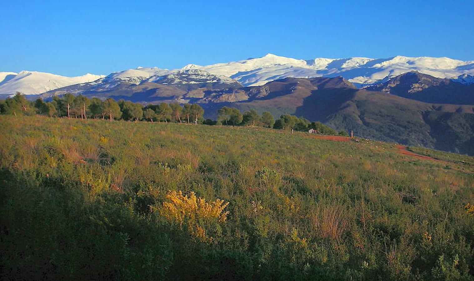 Sierra Nevada. Granada/Almería. Picos de más de 3.000 metros de altitud y más de 2.000 especies vegetales. 86.208 hectáreas.