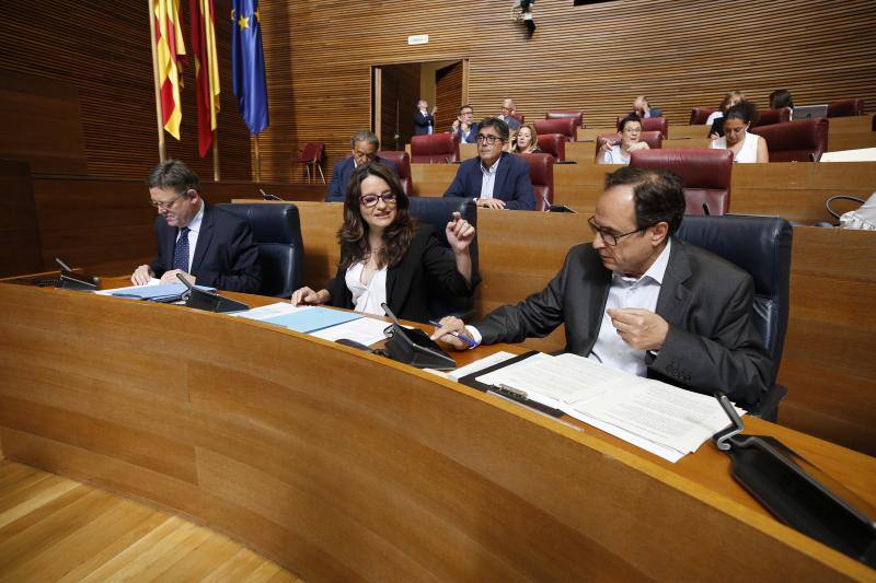 Fotos: Fotos del pleno de Les Corts y la sesión de control a Puig