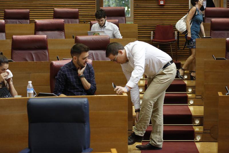 Fotos: Fotos del pleno de Les Corts y la sesión de control a Puig