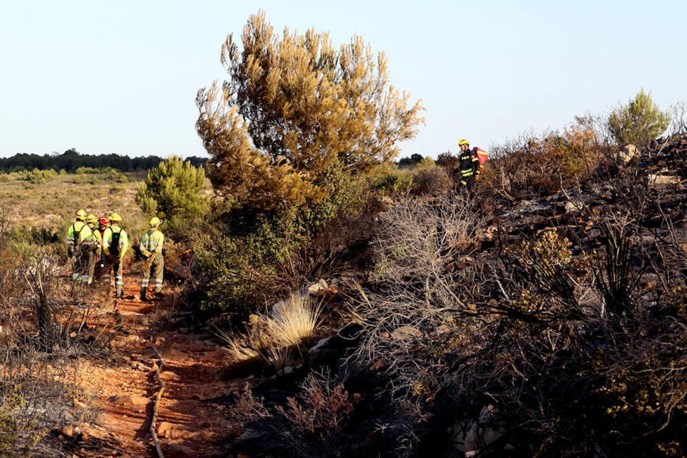 El incendio decretado el domingo en el paraje protegido del Montgó, entre los límites de Dénia y Xàbia, ha arrasado seis hectáreas. Un helicoptero y varias dotaciones de bomberos siguen refrescando la zona. 