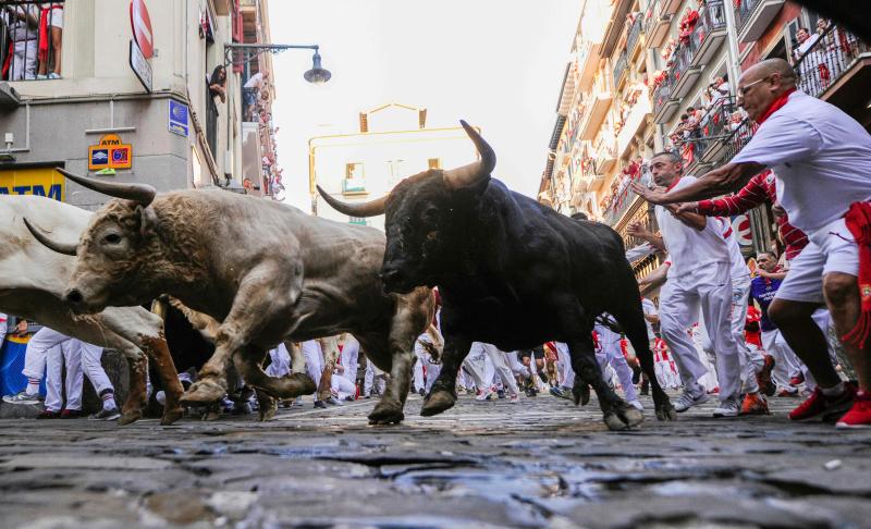 Los astados protagonizan una carrera rápida con algunos momentos de tensión