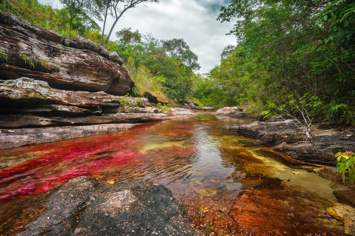 Parece sacado de un cuento pero en realidad se encuentra en Colombia (a unos 150 kilómetros al sur de la capital, Bogotá). El Caño Cristales o el río de colores, como también es conocido, es una de las bellezas naturales del planeta. Su singularidad se encuentra en su recital cromático que parece sobrenatural. Considerado por muchos como el río más bonito del mundo se conserva virgen. Con una riqueza biológica única, recorre alrededor de 100 kilómetros de la Serranía de la Macarena, un conjunto rocoso de 1.200 millones de años de antigüedad.