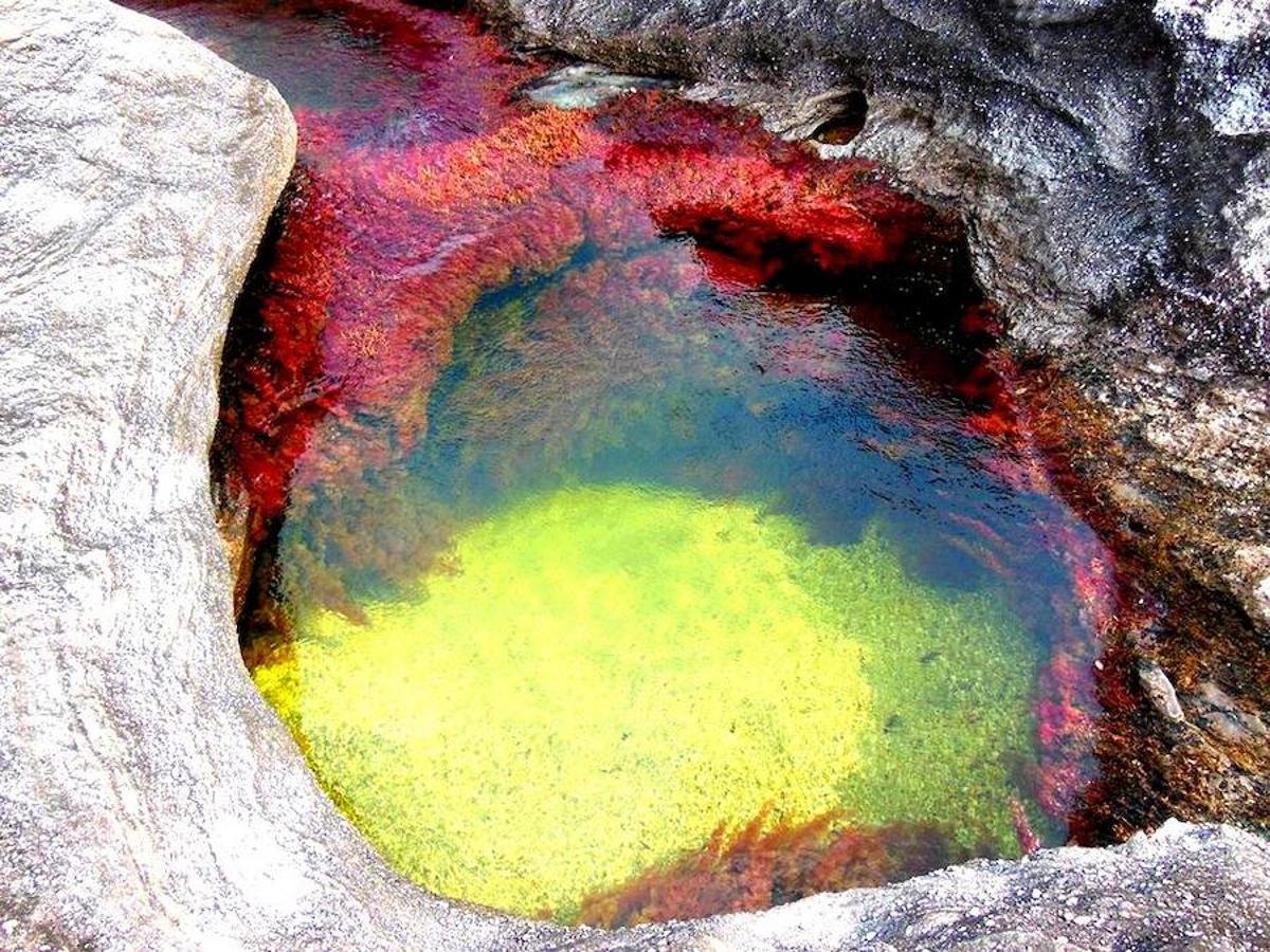 Parece sacado de un cuento pero en realidad se encuentra en Colombia (a unos 150 kilómetros al sur de la capital, Bogotá). El Caño Cristales o el río de colores, como también es conocido, es una de las bellezas naturales del planeta. Su singularidad se encuentra en su recital cromático que parece sobrenatural. Considerado por muchos como el río más bonito del mundo se conserva virgen. Con una riqueza biológica única, recorre alrededor de 100 kilómetros de la Serranía de la Macarena, un conjunto rocoso de 1.200 millones de años de antigüedad.