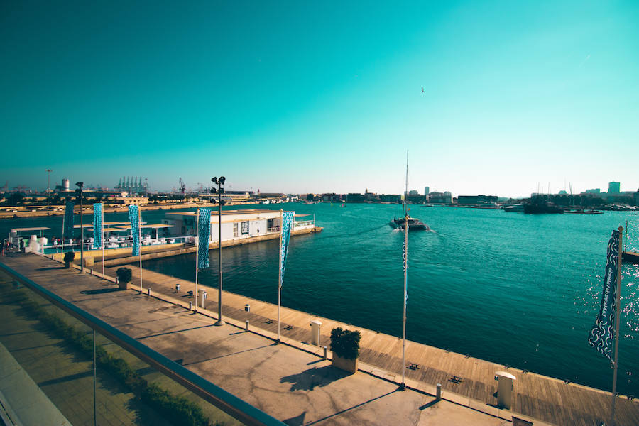 Fotos: Los colores de la Marina de Valencia